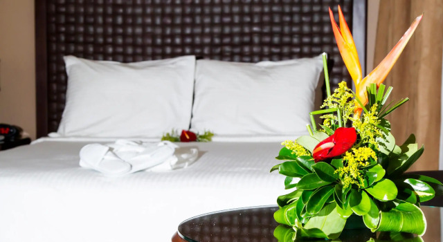 Двухместный номер Standard Rincon del Valle Hotel & Suites