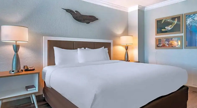Двухместный номер Standard с частичным видом на океан Dolphin Sands Clearwater Beach, an Ascend Collection Hotel