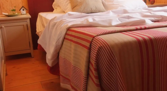 Authentic wooden holiday home in peaceful green surroundings