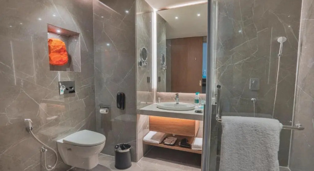 Двухместный клубный номер Standard Le Meridien Hyderabad