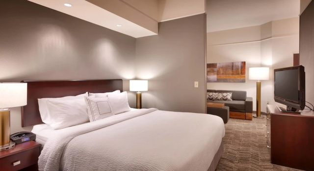 Doppel Studio SpringHill Suites Thatcher