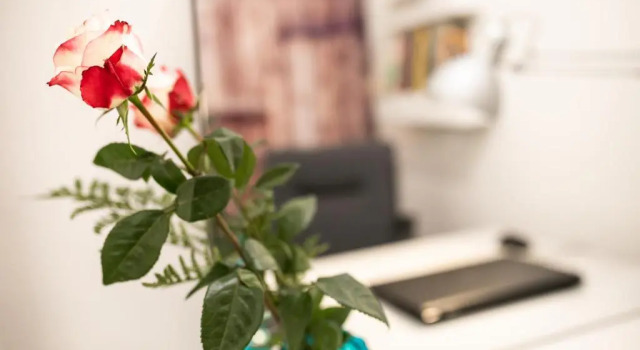 Апартаменты Campus House