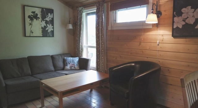 Amazing Home in Hemsedal With 1 Bedrooms and Wifi, Reserva ahora Hotel Hemsedal Buskerud, cerca de Fjellugla