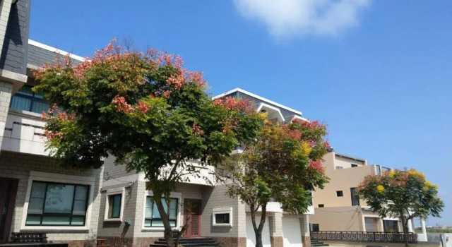 Вилла с видом на сад Casa Penghu