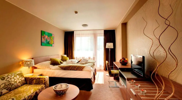 Двухместный номер Standard Hotel Bystrá