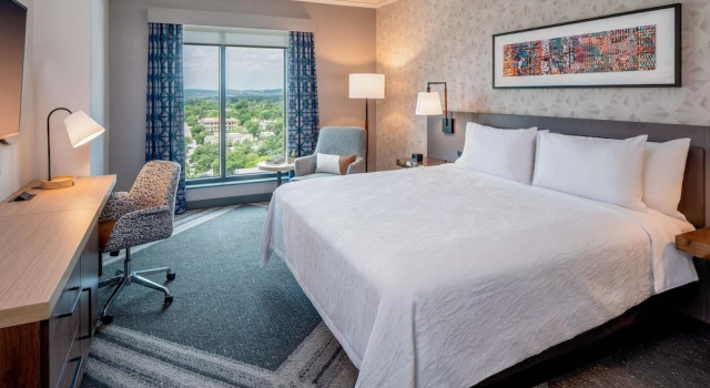 Двухместный номер Mobility Accessible with Bathub Hilton Garden Inn Austin University Capitol District