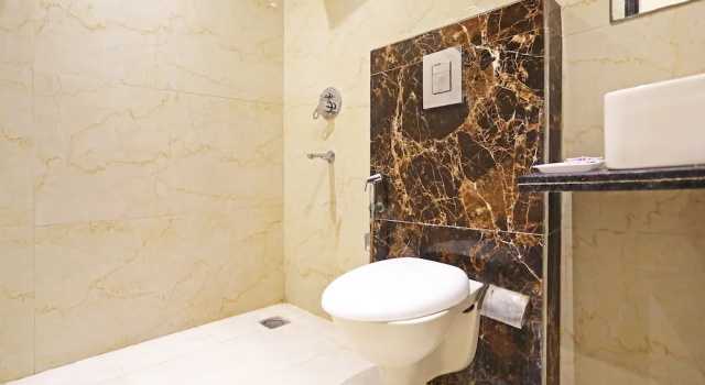 Номер Standard HOTEL ICONIC At Delhi International Airport