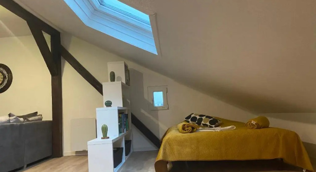 Authentic Loft - 10 Min To the City Center, Book Apartment Schiltigheim 