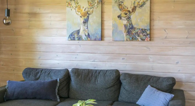 Cottage Danhostel Skanderborg
