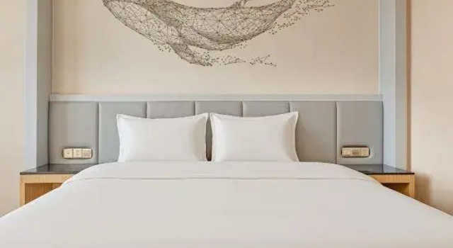 Двухместный номер Standard Miaozu Buyi Hotel