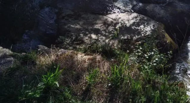 les pieds dans l'eau, Забронировать Отель Трез-Ван Замок Пюи-дю-Фу