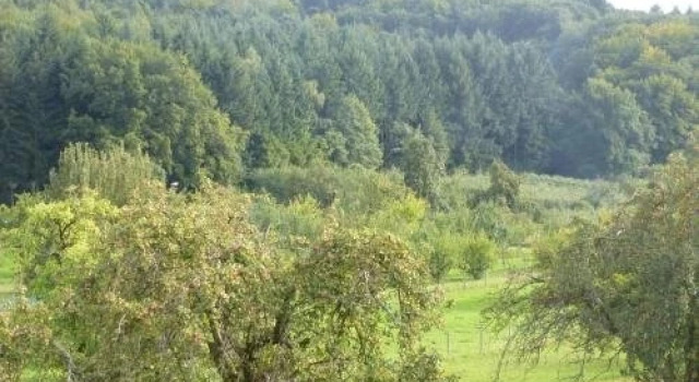 Gästezimmer am Flissertwald, Réserver Hôtel Heuweiler Brisgau