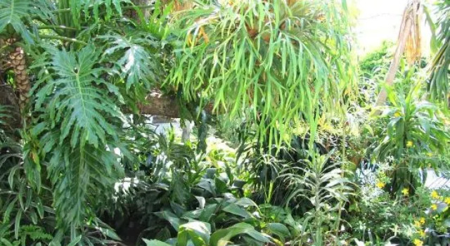 Oakhampton Bed and Breakfast, Забронировать Отель Отели Ист-Лондона с парковкой, Парковка
