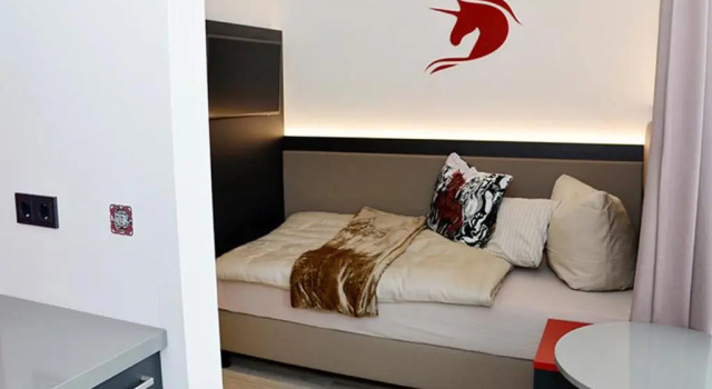 Номер Standard Hotel Rotes Einhorn ****