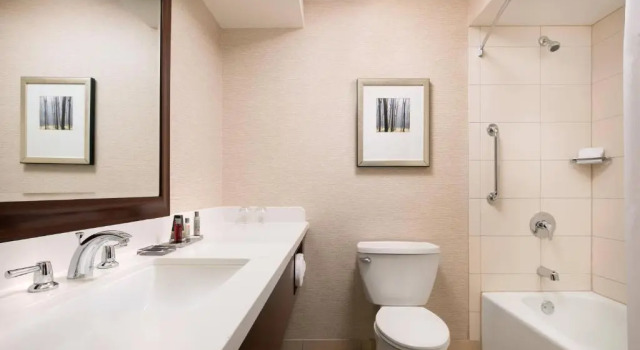 Двухместный люкс Executive c 1 комнатой Chicago Marriott Naperville