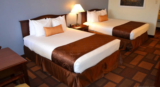 Двухместный люкс c 1 комнатой Days Inn & Suites by Wyndham Lodi