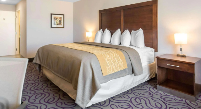 Comfort Inn & Suites, Buchen Sie Hotel Lovington New Mexico