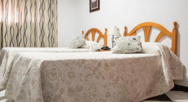 Номер Standard Hotel Oasis