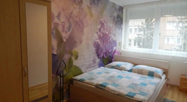 Апартаменты Boros Apartman