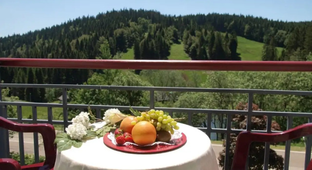 Номер Standard Waldhotel am Notschreipass