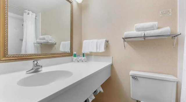 Номер Standard Holiday Inn Express Chicago-Downers Grove by IHG
