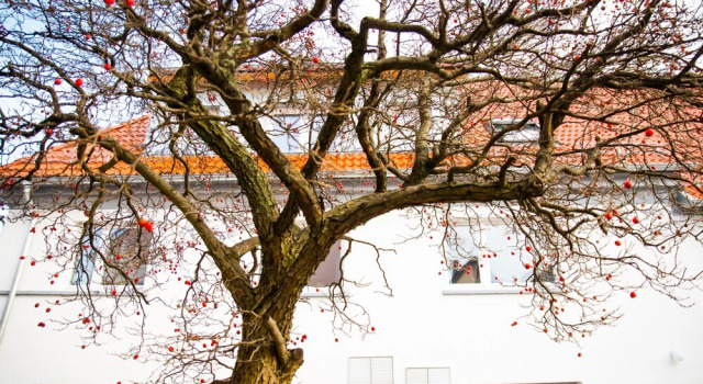 Sali Homes - GaesteHaus Lamm Obersulm, Reserva ahora Hotel Obersulm Baden-Wurtemberg