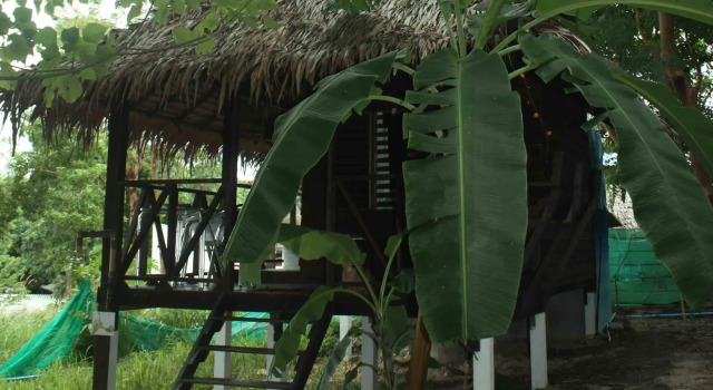 Gipsy 2 Bungalows