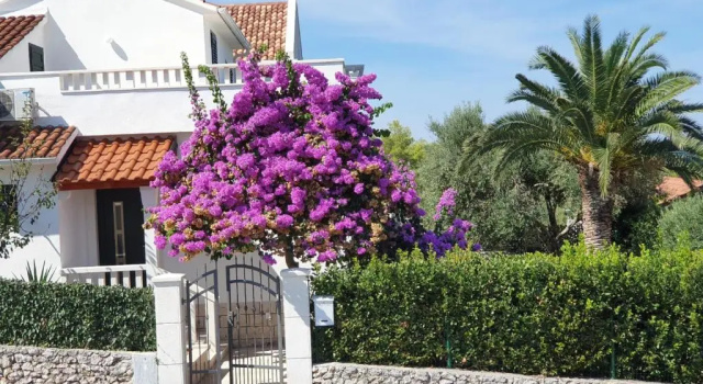 Коттедж Holiday Home Brac