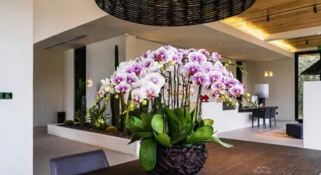 Munwood.Green  Farm, Prenota Agriturismo Hotel a Chongqing con piscina, Piscina