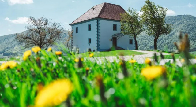 Апартаменты Wine Growers Mansion Zlati Gric