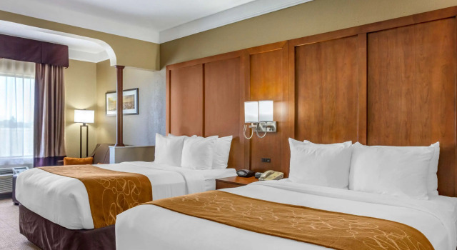 Vierer Suite Comfort Suites Plainview