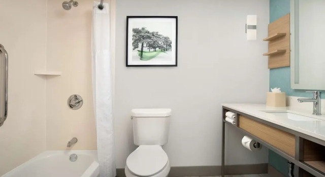 Номер Deluxe Hilton Garden Inn Dallas/Duncanville
