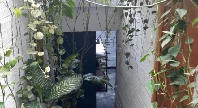 Кровать в общем номере Hostal Casa Estación