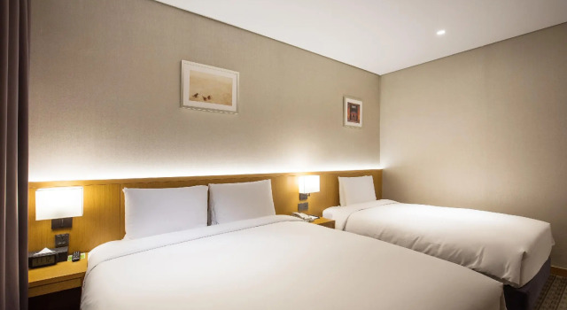 Двухместный номер Deluxe Sotetsu Hotels The Splaisir Seoul Dongdaemun