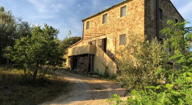 Operaviva
