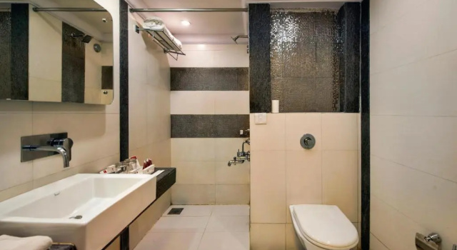 Двухместный номер Deluxe Lords Inn Vadodara
