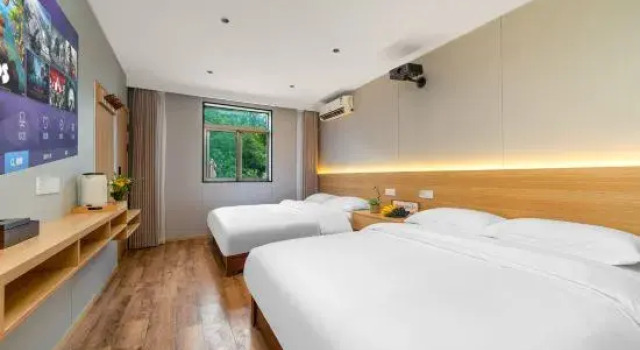Люкс Junlin·Yuehong Resort Homestay (Tingxi Qinglongtan Scenic Area Branch)