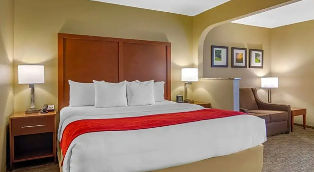 Номер Standard Comfort Inn & Suites LaGrange East