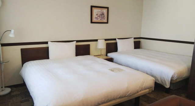 Двухместный номер Deluxe Toyoko Inn Keio Line Hashimoto Station Kita