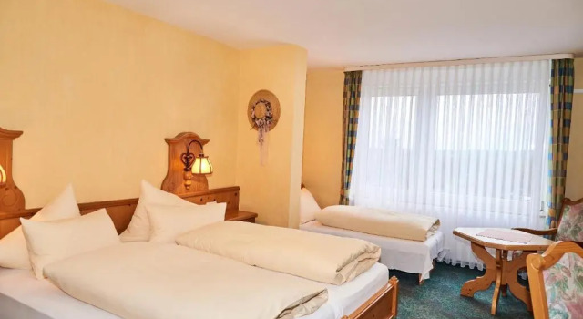 Двухместный номер Standard Hotel Odenwaldblick