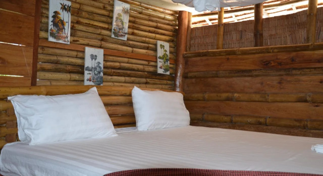 Tree Bar Hostel