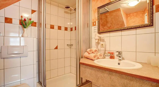 Двухместный номер Standard Stadthotel Detmold