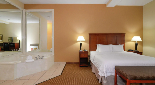 Двухместный номер Standard Hampton Inn & Suites Detroit/Chesterfield