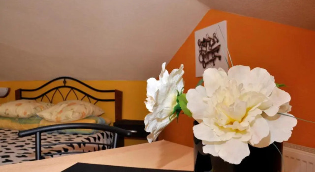 Двухместный номер Standard Happy Hostel