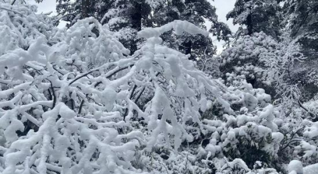 Jingshui Xianju · Leisure Time Leisure Vacation Homestay (Wawu Mountain Scenic Area)