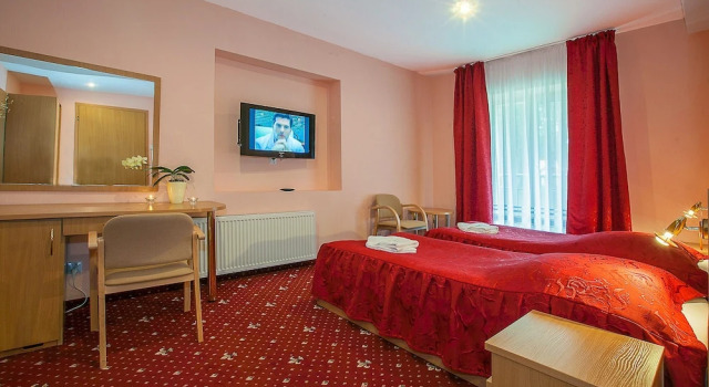 Номер Standard Millennium Health Resort & Spa