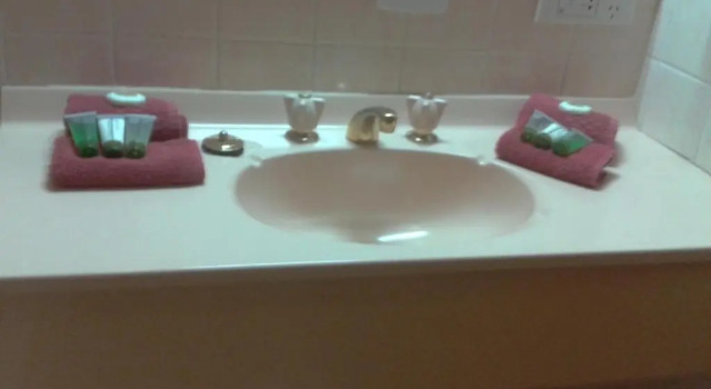 Двухместный люкс Elsinor Motor Lodge