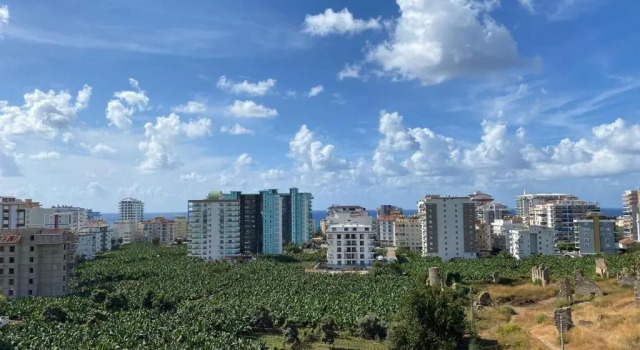 Апартаменты c 1 комнатой Suit Residence