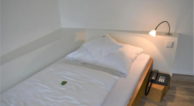 Одноместный номер Standard Hotel Lindenallee