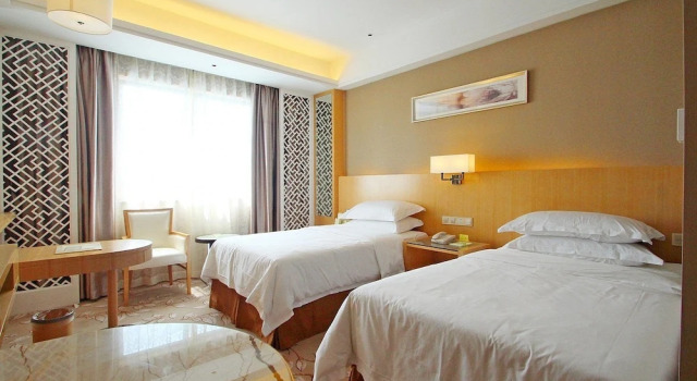 Номер Deluxe Shanghai Waigaoqiao Free Trade Zone Vienna Hotel